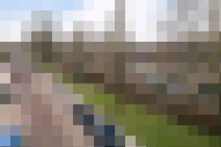 Graan voor Visch 15223 Hoofddorp thumbnail 41