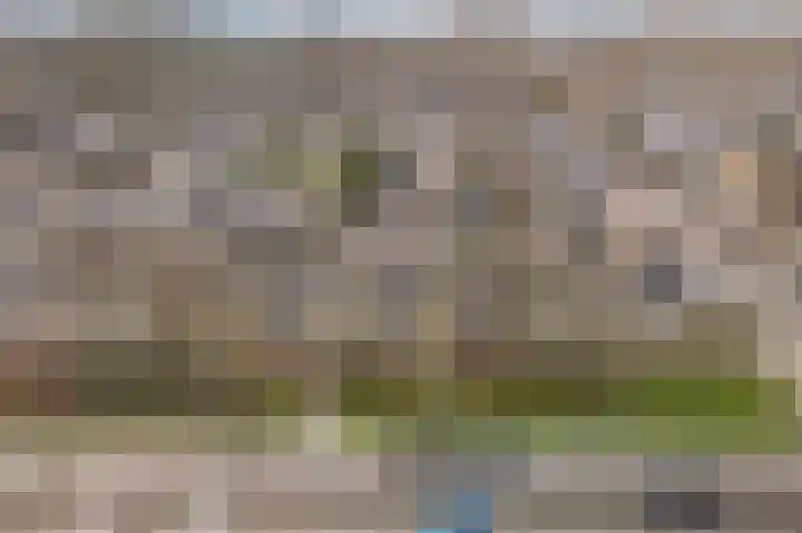 Graan voor Visch 15223 Hoofddorp thumbnail 42