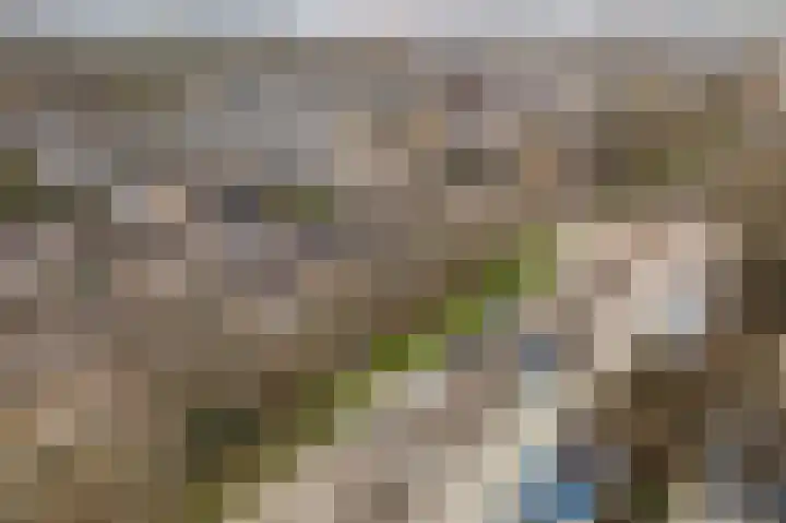 Graan voor Visch 15223 Hoofddorp thumbnail 43