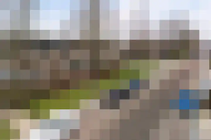 Graan voor Visch 15223 Hoofddorp thumbnail 5