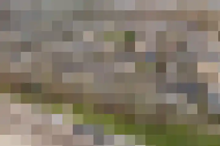 Graan voor Visch 15223 Hoofddorp thumbnail 6
