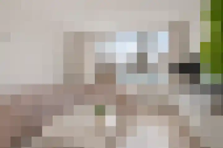 Graan voor Visch 15223 Hoofddorp thumbnail 8