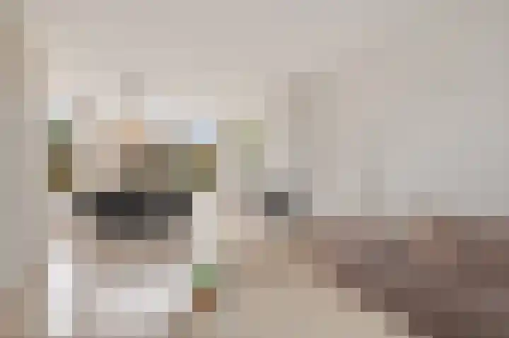 Graan voor Visch 15223 Hoofddorp thumbnail 9