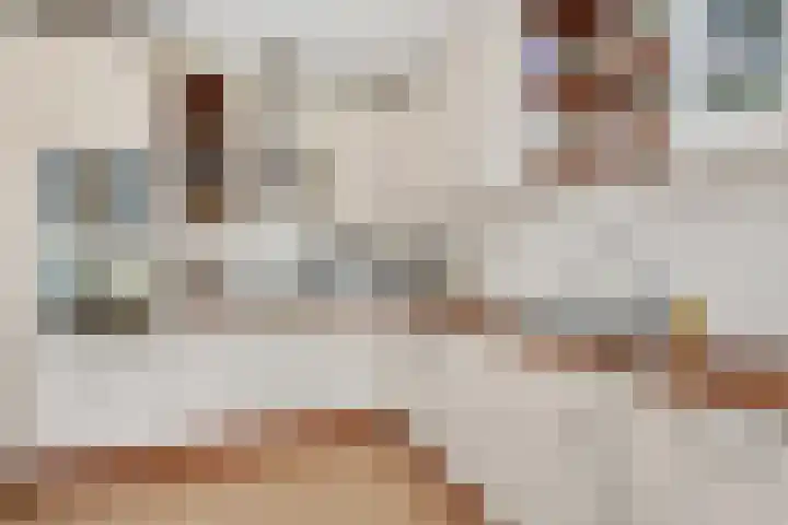 Graan voor Visch 15228 Hoofddorp thumbnail 10