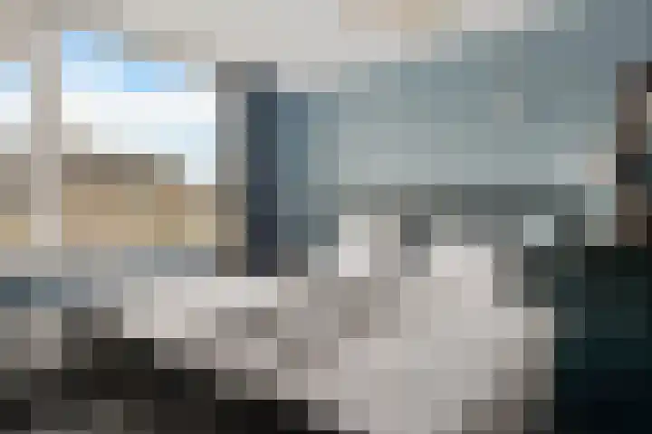 Graan voor Visch 15228 Hoofddorp thumbnail 16