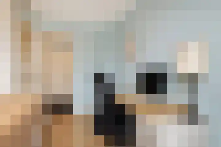 Graan voor Visch 15228 Hoofddorp thumbnail 22