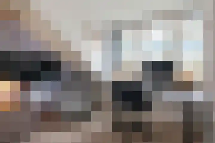 Graan voor Visch 15228 Hoofddorp thumbnail 29