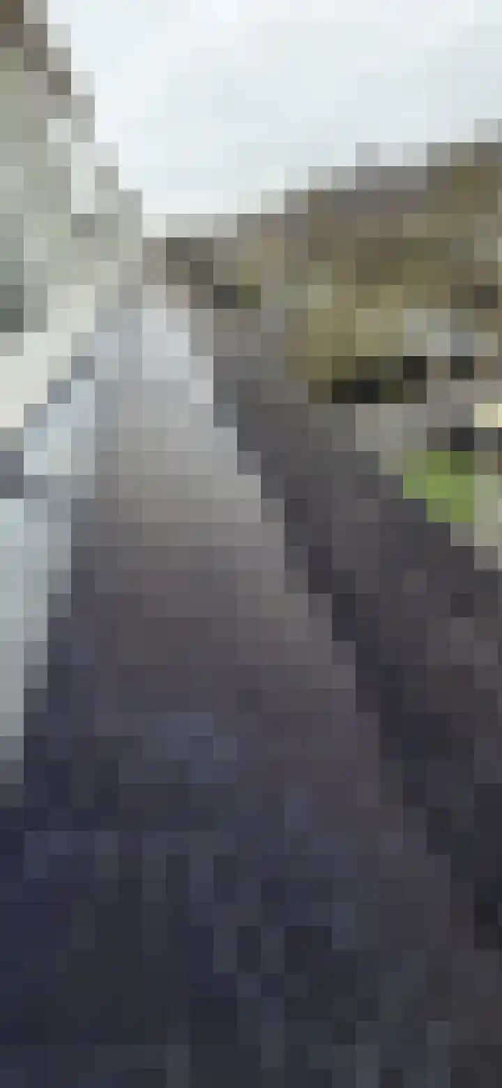 Graan voor Visch 15228 Hoofddorp thumbnail 33