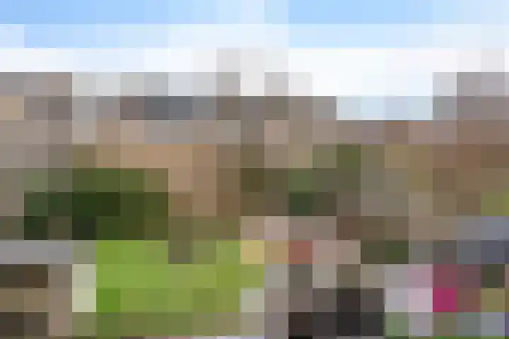 Graan voor Visch 15228 Hoofddorp thumbnail 34