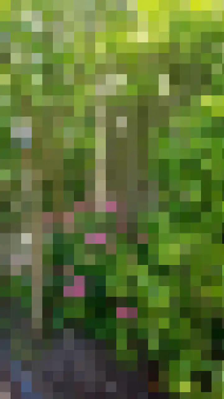 Graan voor Visch 15228 Hoofddorp thumbnail 35