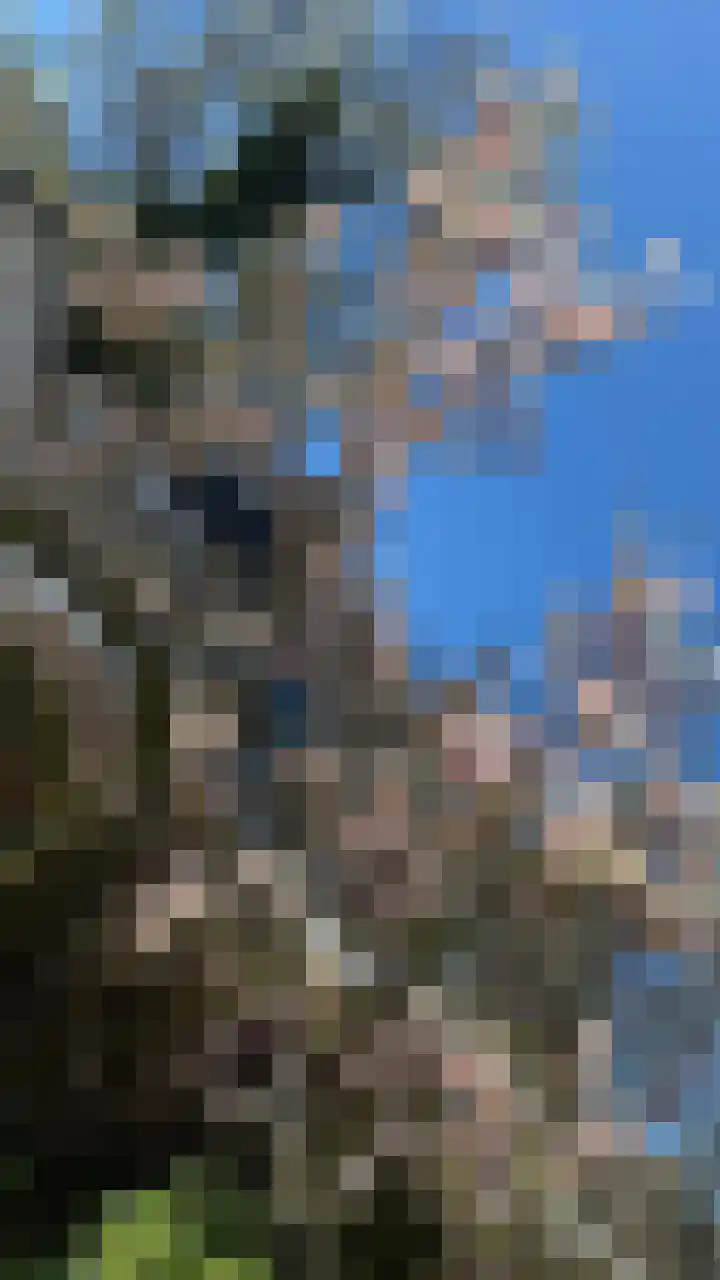 Graan voor Visch 15228 Hoofddorp thumbnail 36