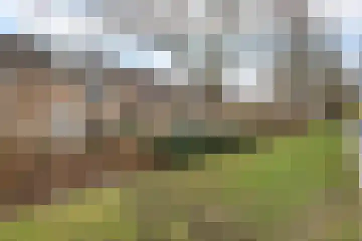 Graan voor Visch 15228 Hoofddorp thumbnail 38