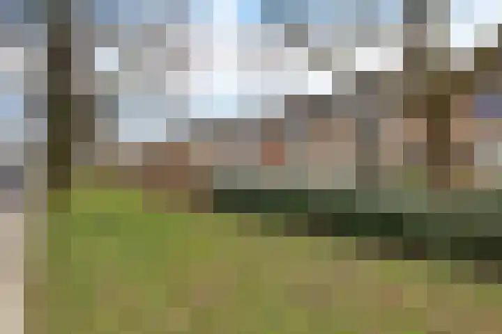 Graan voor Visch 15228 Hoofddorp thumbnail 39