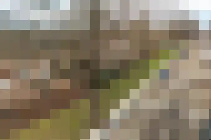 Graan voor Visch 15228 Hoofddorp thumbnail 41