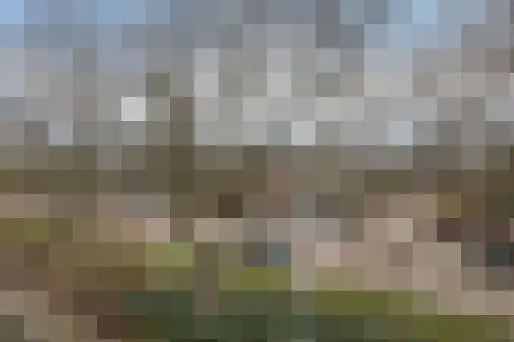 Graan voor Visch 15228 Hoofddorp thumbnail 44