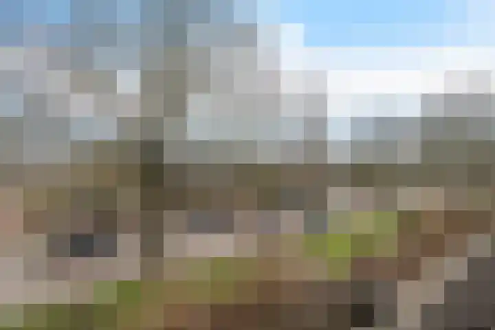Graan voor Visch 15228 Hoofddorp thumbnail 45
