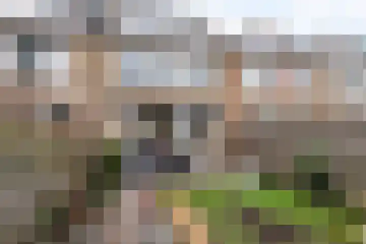 Graan voor Visch 15228 Hoofddorp thumbnail 5