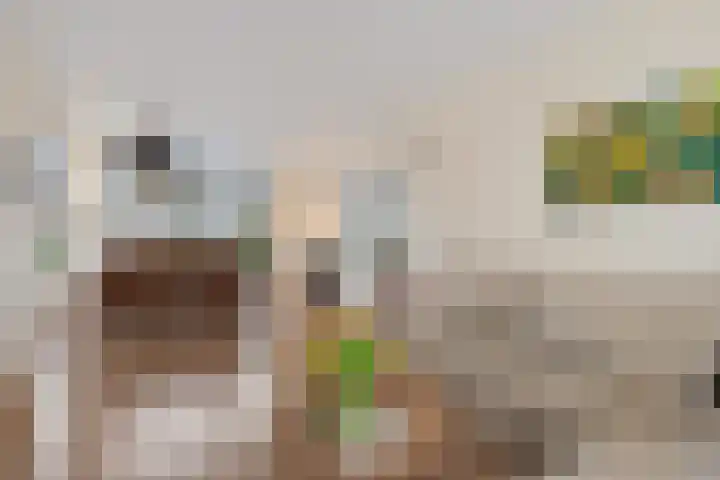 Graan voor Visch 15228 Hoofddorp thumbnail 7