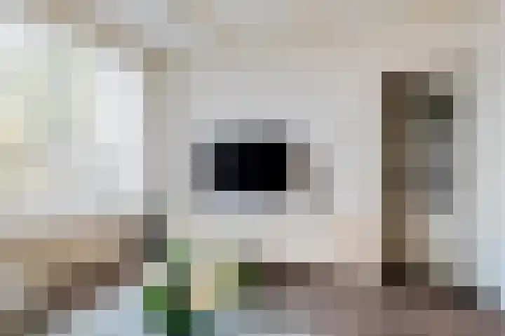 Graan voor Visch 15240 Hoofddorp thumbnail 10
