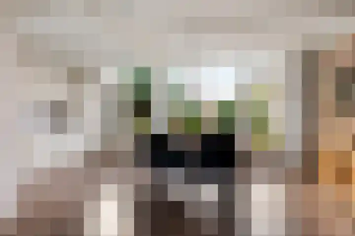 Graan voor Visch 15240 Hoofddorp thumbnail 14