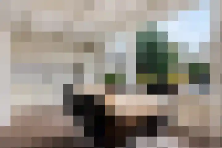 Graan voor Visch 15240 Hoofddorp thumbnail 15