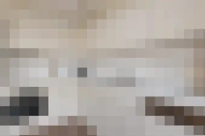 Graan voor Visch 15240 Hoofddorp thumbnail 16