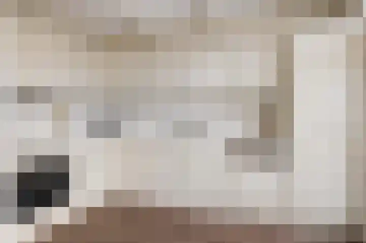 Graan voor Visch 15240 Hoofddorp thumbnail 17