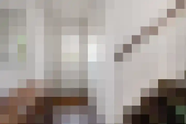 Graan voor Visch 15240 Hoofddorp thumbnail 19