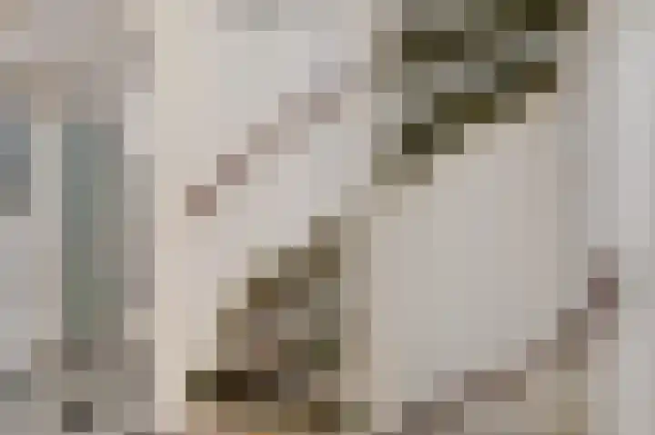 Graan voor Visch 15240 Hoofddorp thumbnail 27