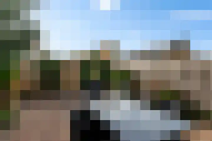 Graan voor Visch 15240 Hoofddorp thumbnail 34