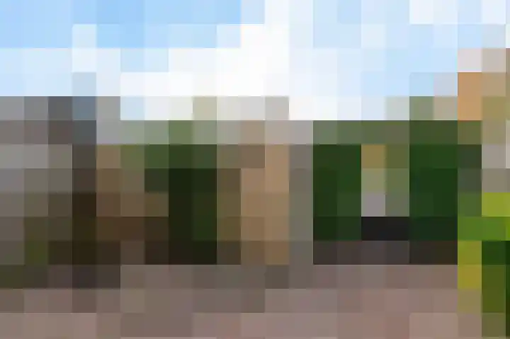 Graan voor Visch 15240 Hoofddorp thumbnail 35