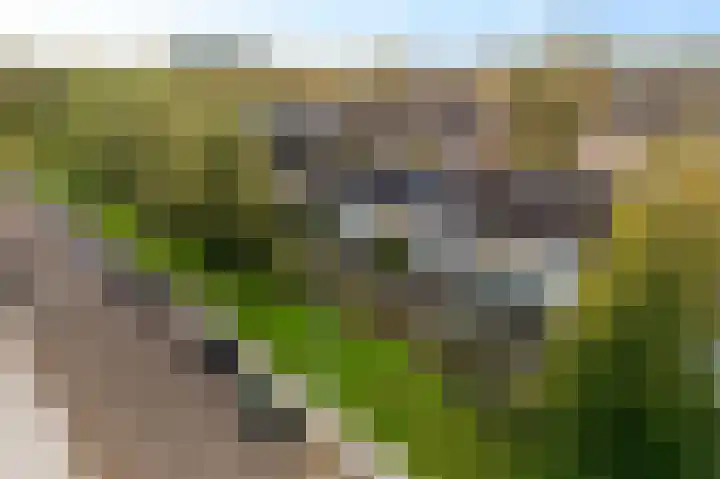 Graan voor Visch 15240 Hoofddorp thumbnail 38