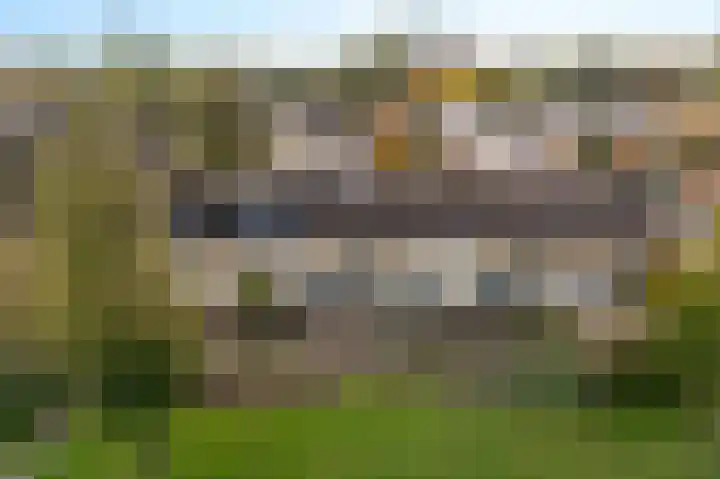 Graan voor Visch 15240 Hoofddorp thumbnail 39