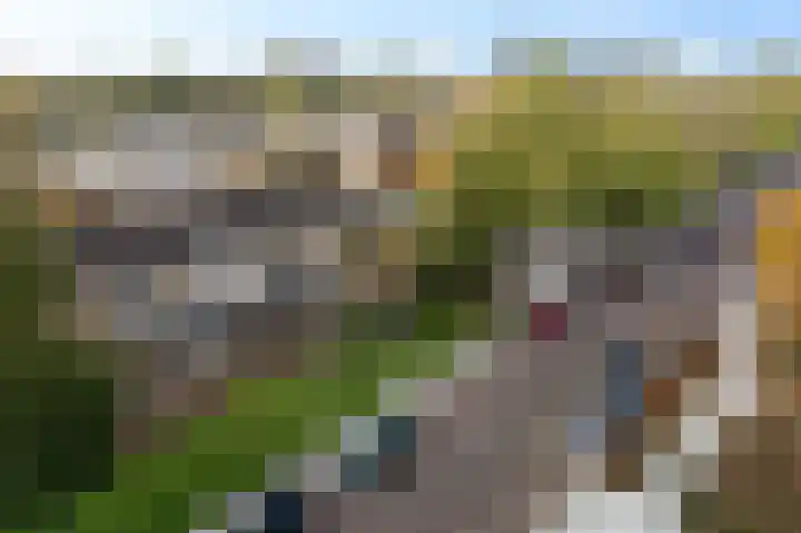 Graan voor Visch 15240 Hoofddorp thumbnail 40