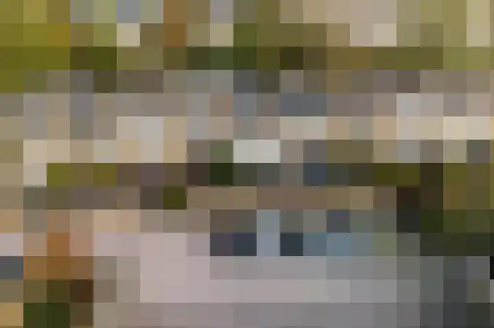 Graan voor Visch 15240 Hoofddorp thumbnail 41