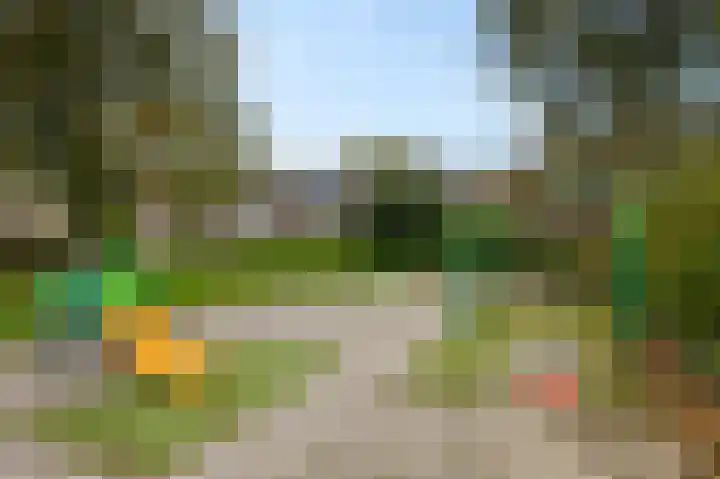 Graan voor Visch 15240 Hoofddorp thumbnail 42