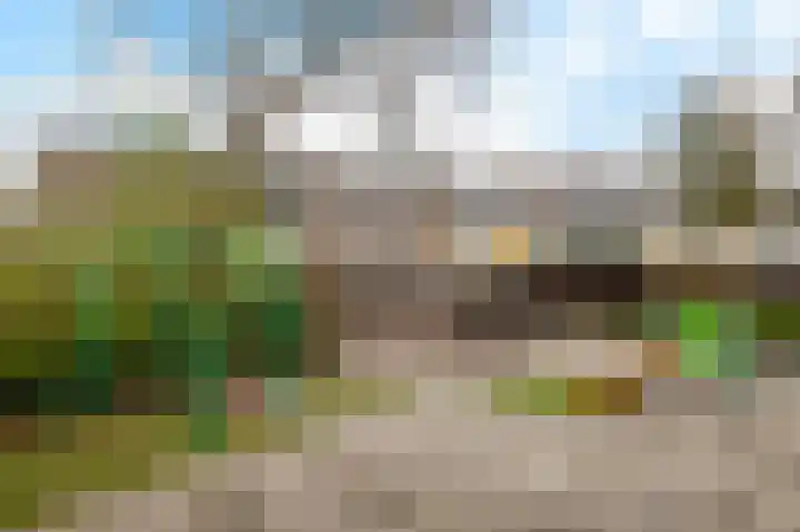Graan voor Visch 15240 Hoofddorp thumbnail 43