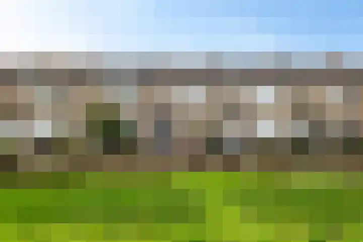 Graan voor Visch 15240 Hoofddorp thumbnail 5