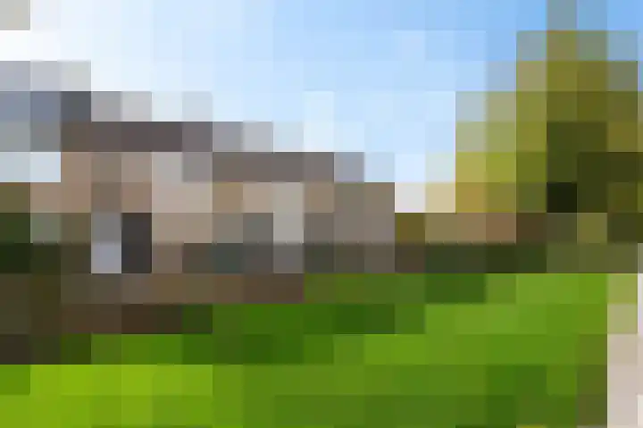 Graan voor Visch 15240 Hoofddorp thumbnail 6