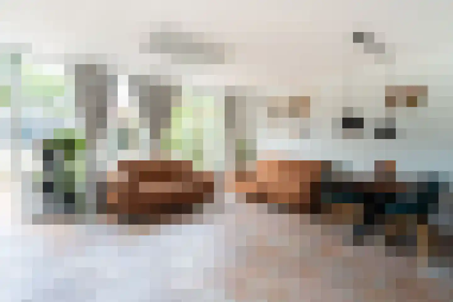 Graan voor Visch 15301 Hoofddorp thumbnail 11