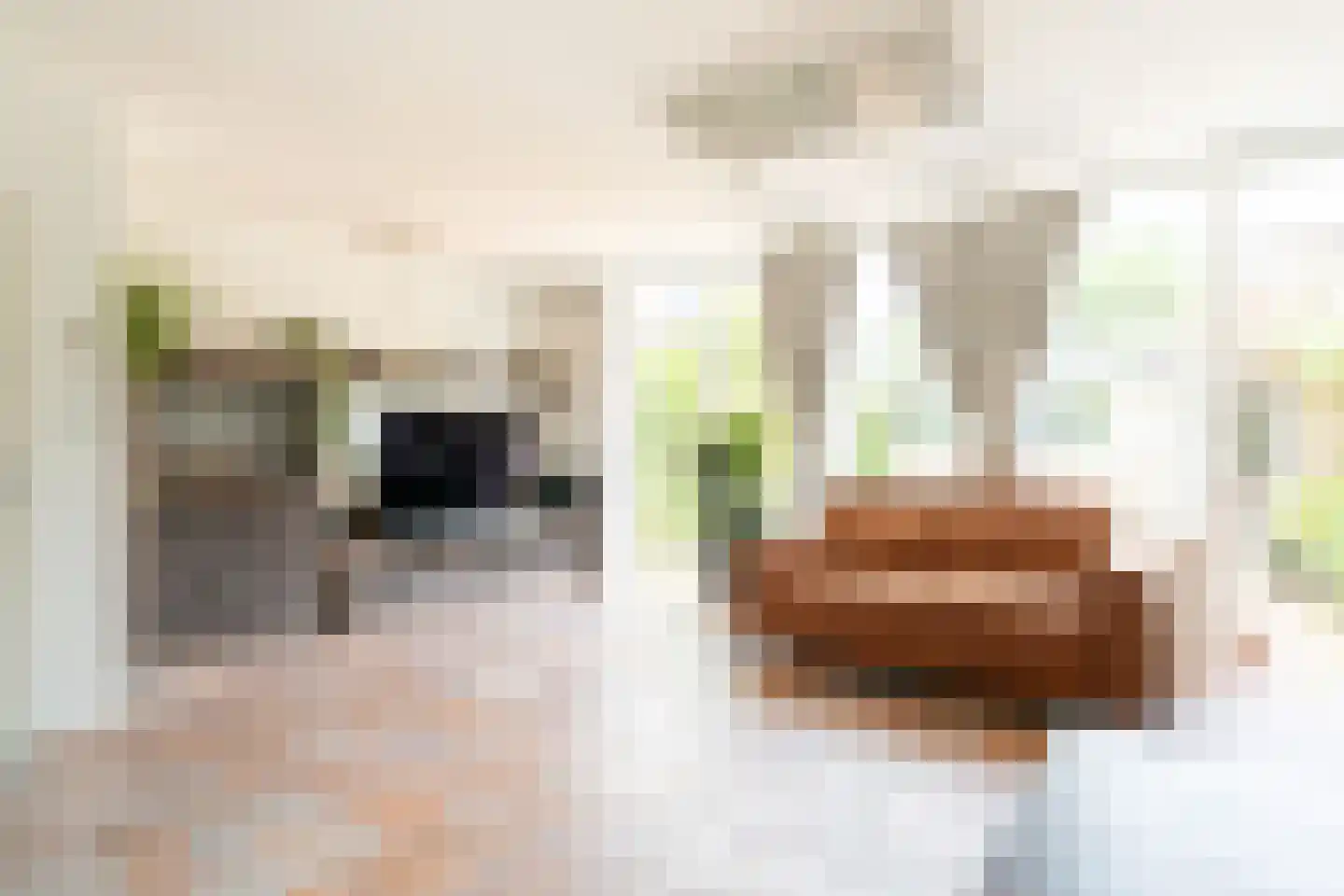 Graan voor Visch 15301 Hoofddorp thumbnail 13