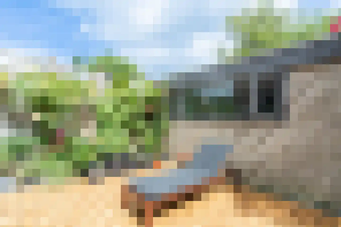 Graan voor Visch 15301 Hoofddorp thumbnail 28