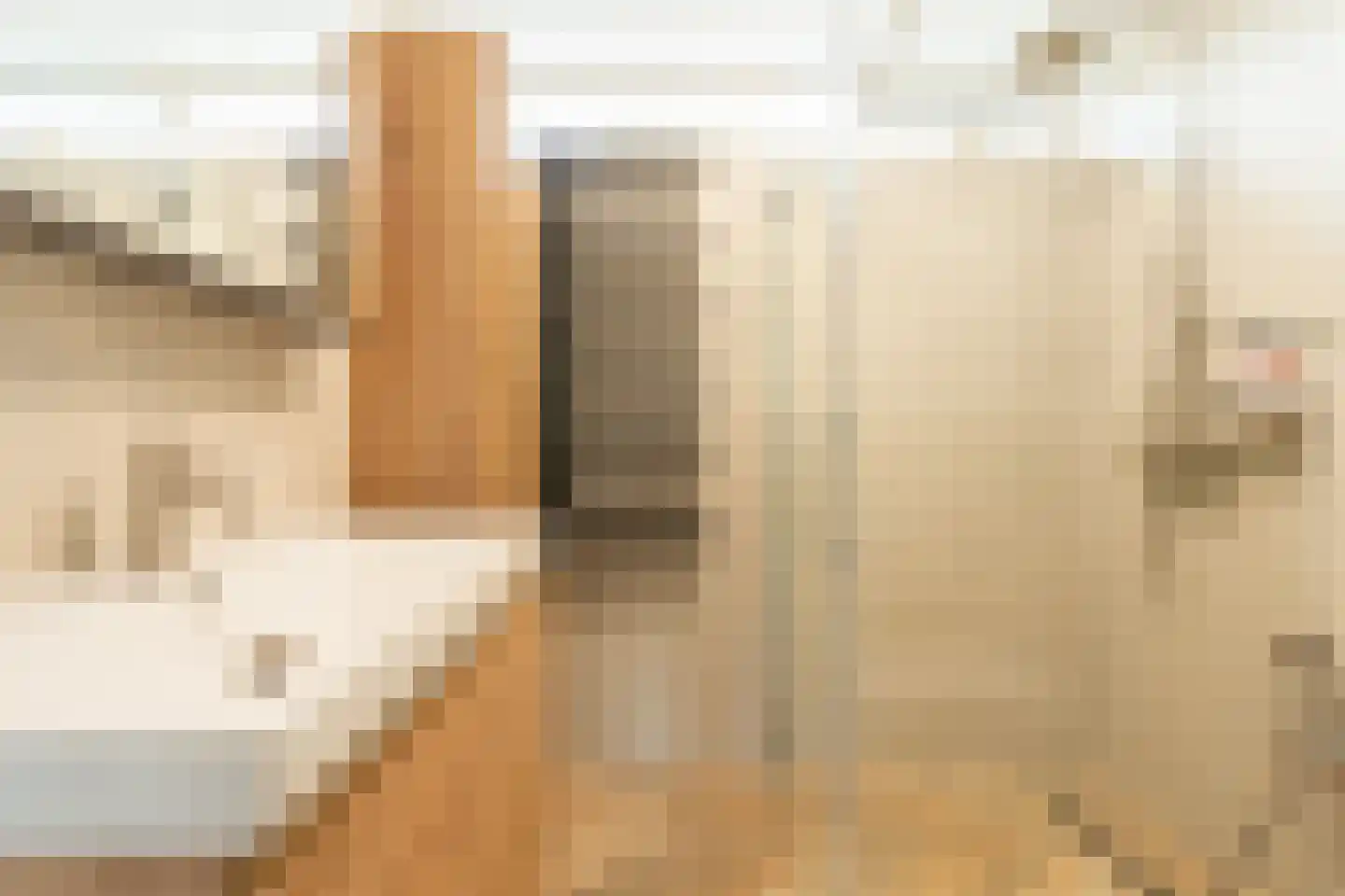 Graan voor Visch 15301 Hoofddorp thumbnail 42