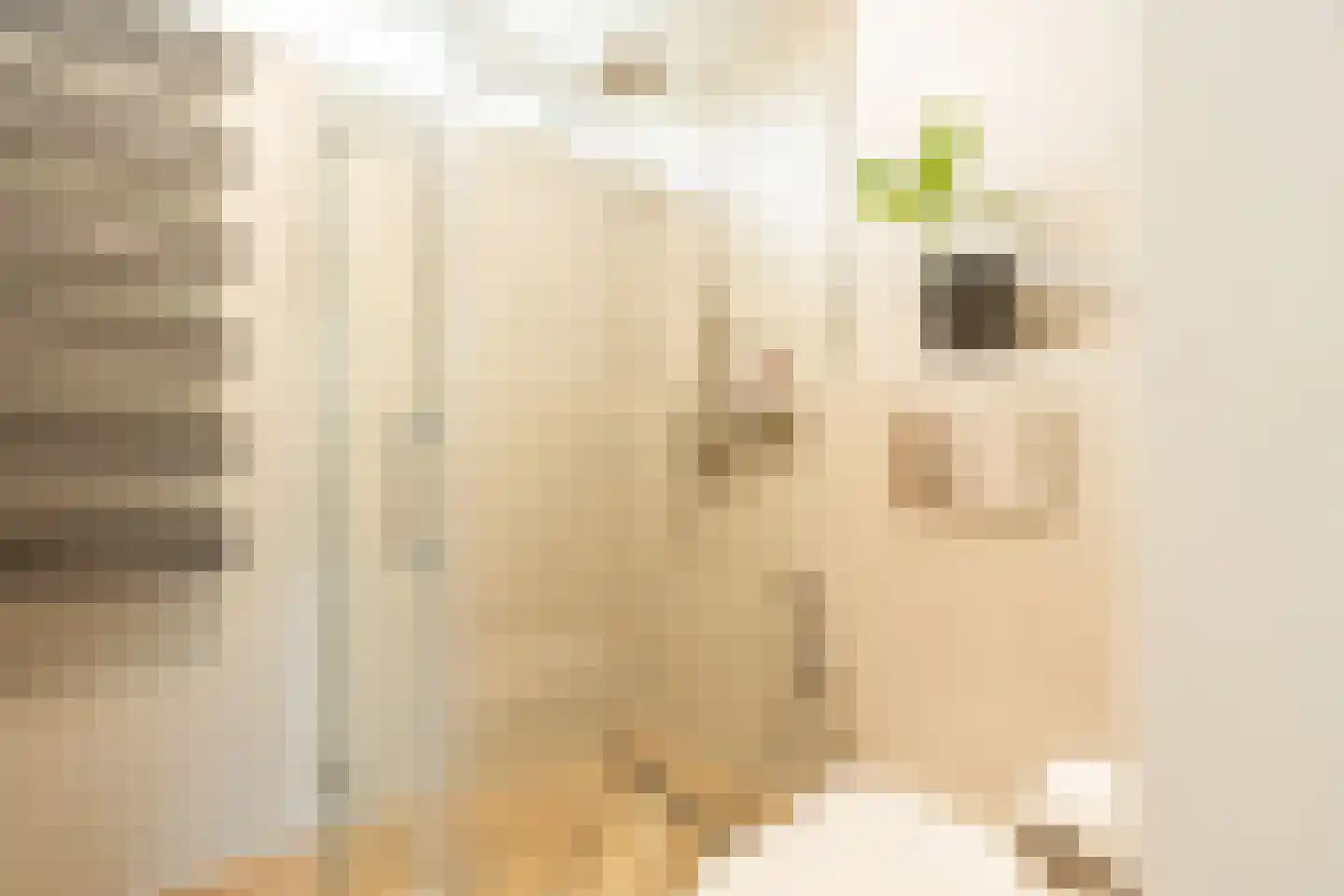 Graan voor Visch 15301 Hoofddorp thumbnail 44