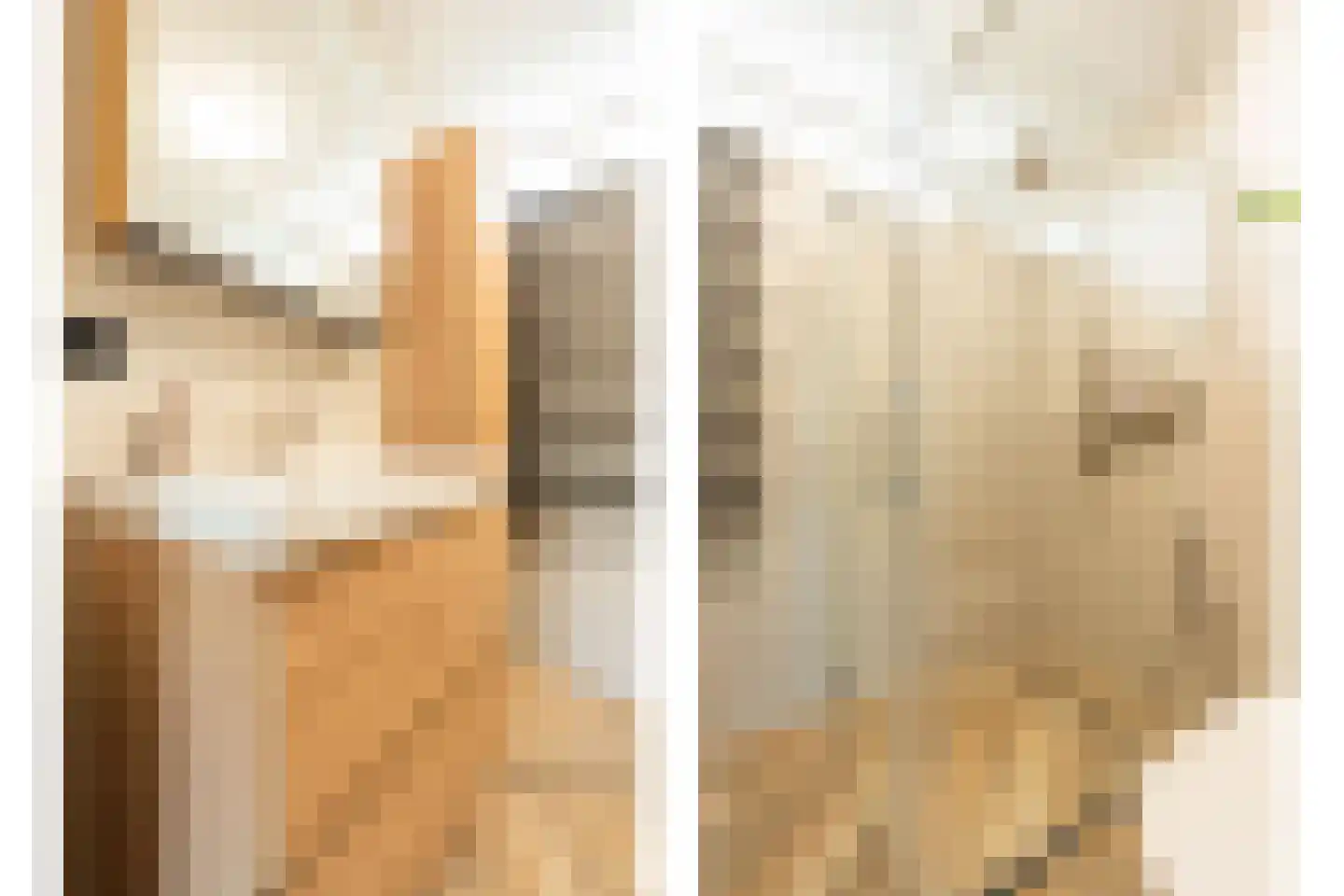 Graan voor Visch 15301 Hoofddorp thumbnail 5
