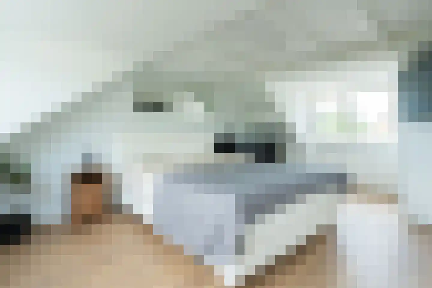 Graan voor Visch 15301 Hoofddorp thumbnail 51