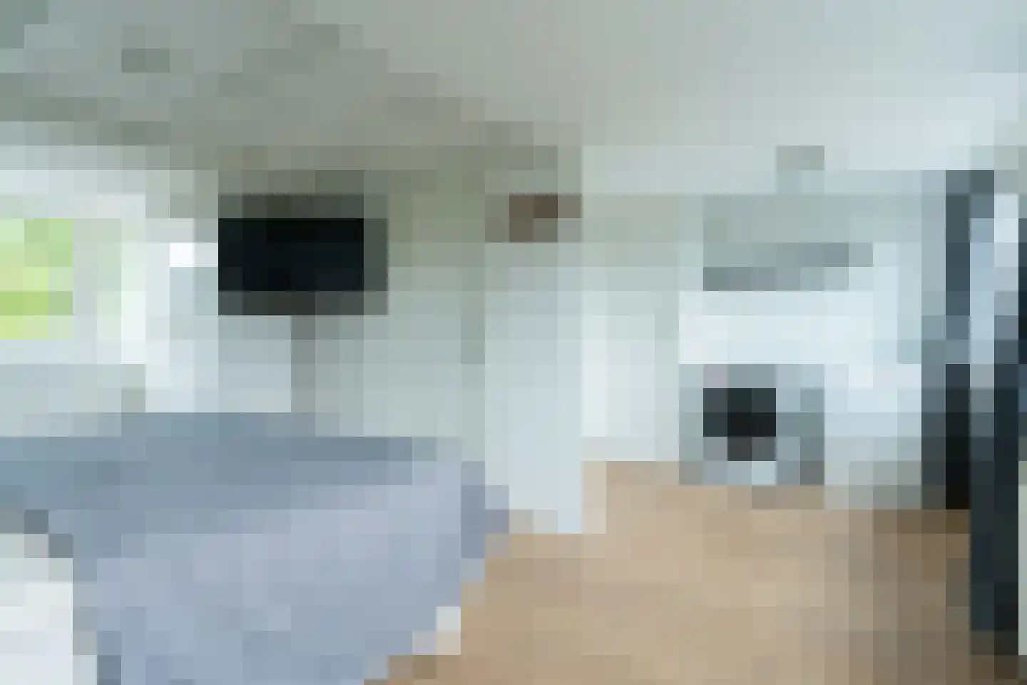 Graan voor Visch 15301 Hoofddorp thumbnail 54