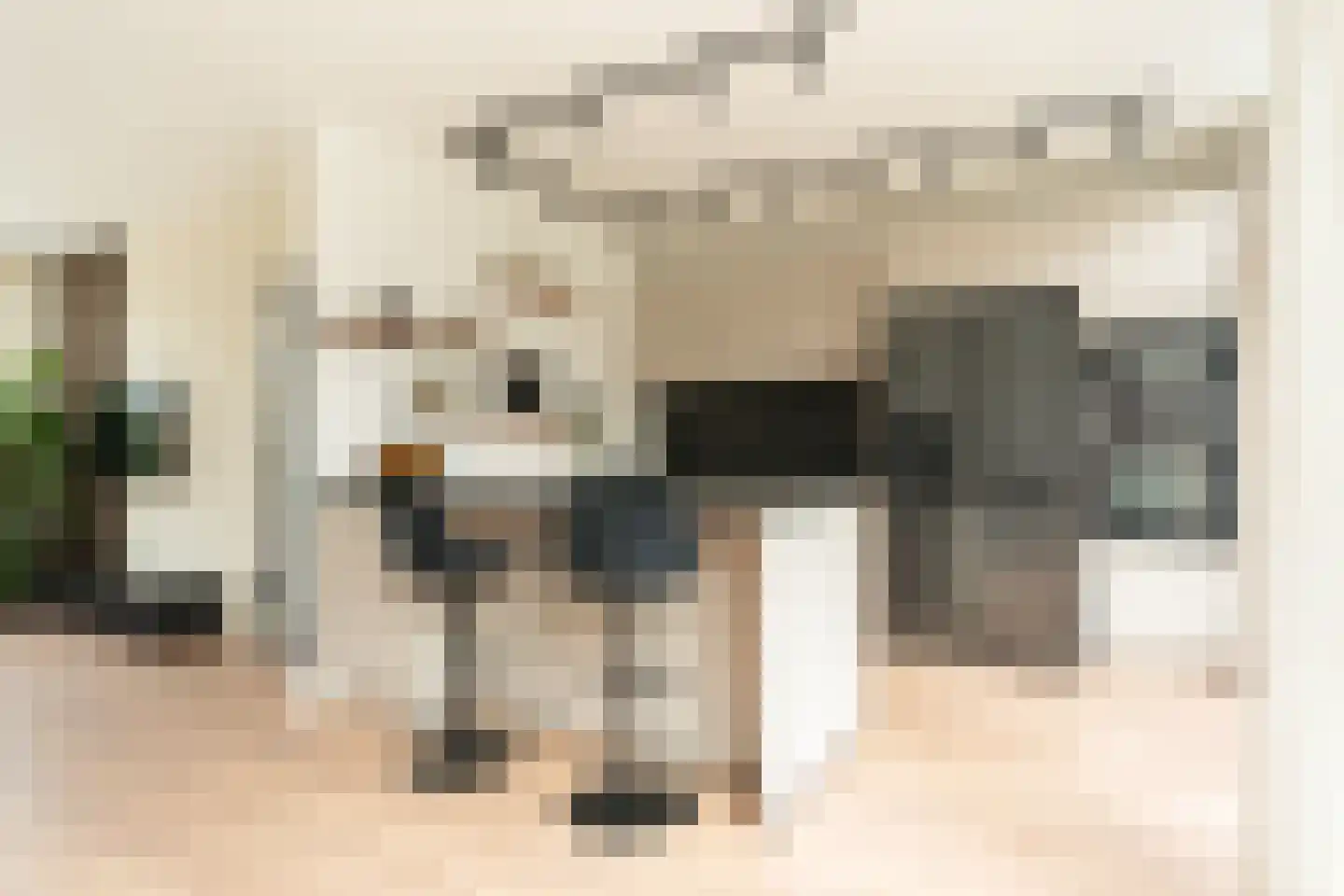 Graan voor Visch 15302 Hoofddorp thumbnail 11