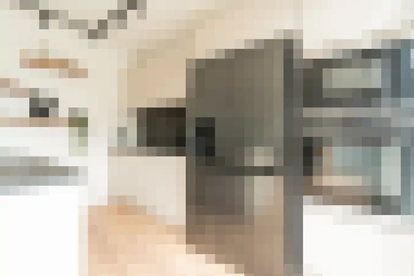 Graan voor Visch 15302 Hoofddorp thumbnail 16
