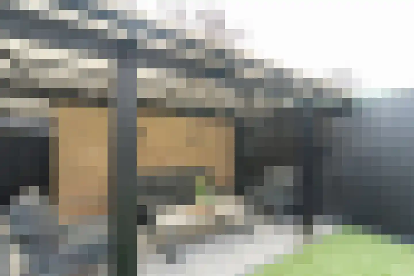 Graan voor Visch 15302 Hoofddorp thumbnail 46